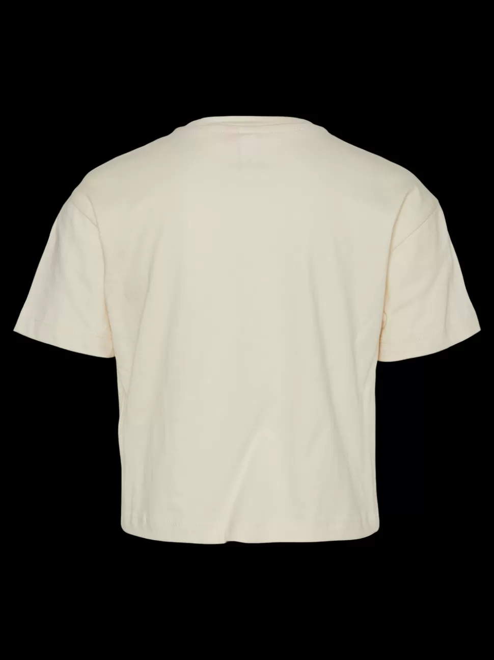 Toppar | Toppar^VERO MODA VMCOLLEGE T-shirt Birch